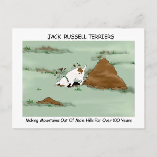 Jack Russell Terrier Postcard