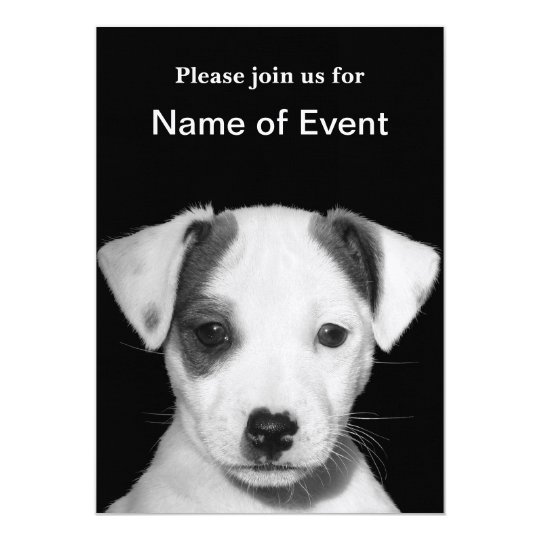 Jack Russell Terrier Puppy Card