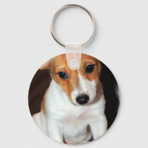 Jack Russell Terrier Puppy Dog  Keychain