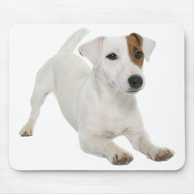 Jack Russell Terrier Puppy Dog Love Mouse Pad (Front)
