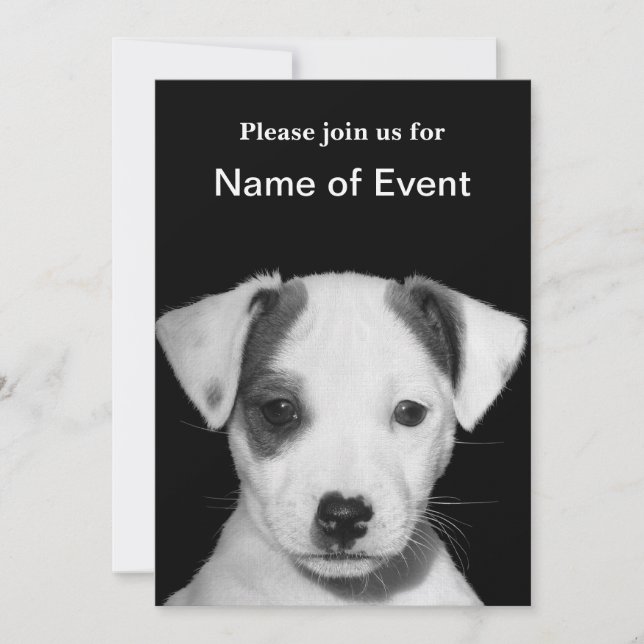 Jack Russell Terrier Puppy Invitation (Front)