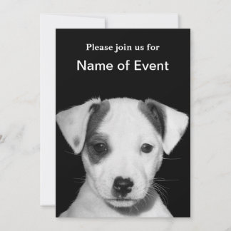 Jack Russell Terrier Puppy Invitation