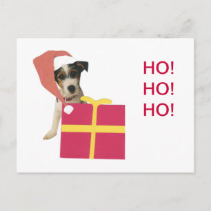Jack Russell Terrier Santa Hat Holiday Postcard