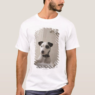 Jack russell terrier. T-Shirt