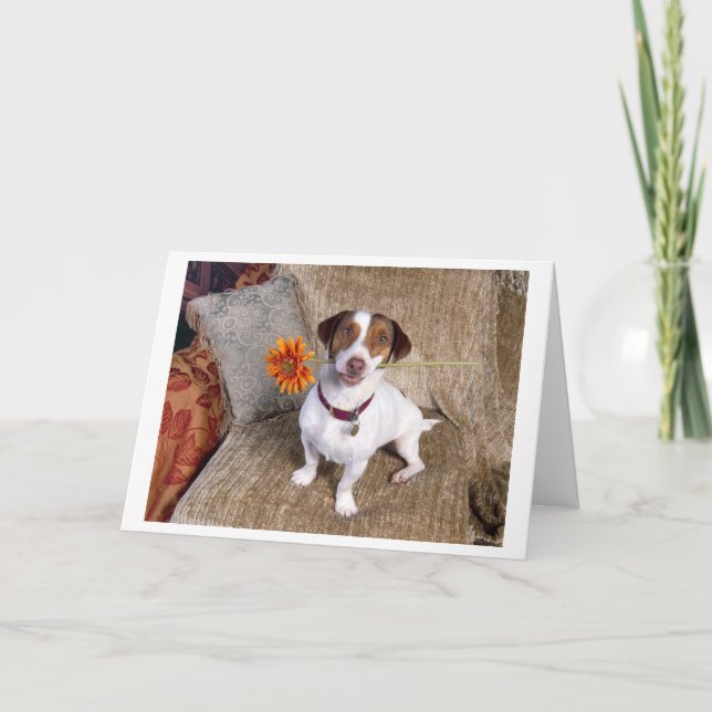 Jack Russell Terrier Thank You Card (Front)