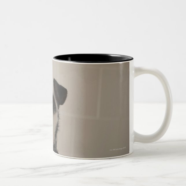 Jack russell terrier. Two-Tone coffee mug (Right)