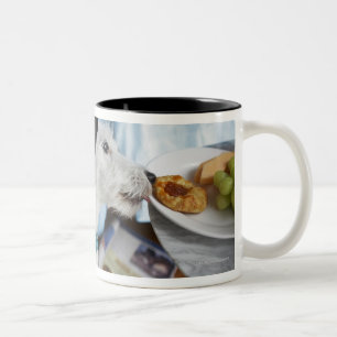Jack russell terrier. Two-Tone coffee mug