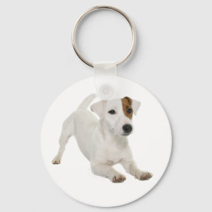 Jack Russell Terrier White And Brown Puppy Dog Key Ring