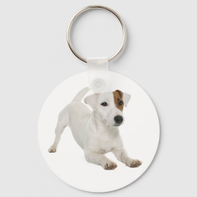 Jack Russell Terrier White And Brown Puppy Dog Key Ring (Front)