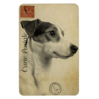 Jack Russell Vintage Postcard