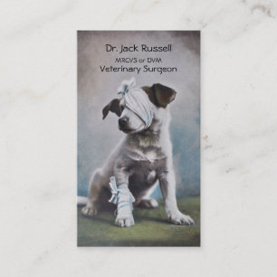 Jack Russell with bandages veterinarian Business Card