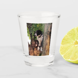 JACK SHOT GLASS