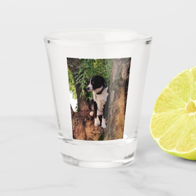 JACK SHOT GLASS (Front)