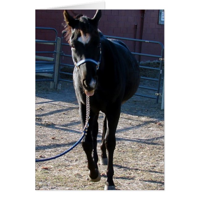 Jack Sticks His Tongue Out (Front)