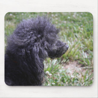 Jack T. Poodle Mouse Pad