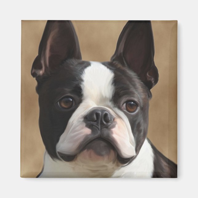 Jack the Boston terrier Magnet (Front)
