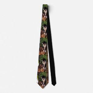 JACK the WONDER DOG Tie