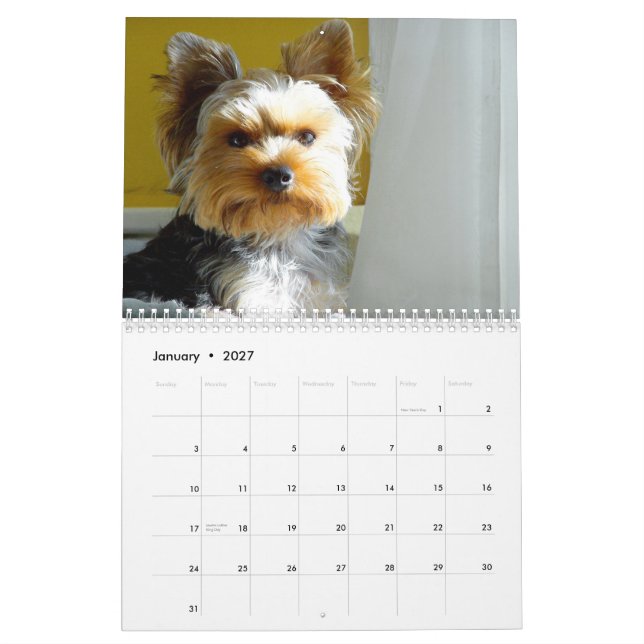 "Jack" the Yorkie - 2014 Calendar (Jan 2027)