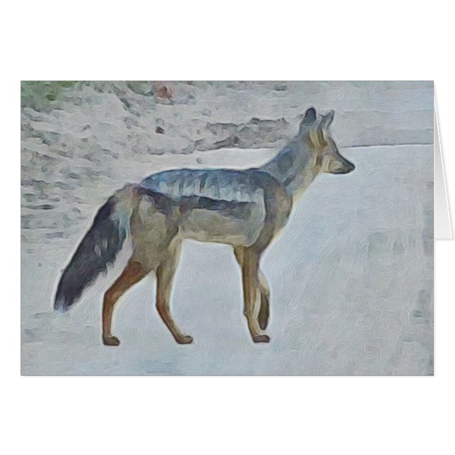 Jackal (Front Horizontal)