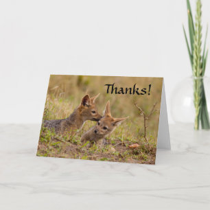 Jackal Cub You Thank Thank You Card