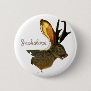 Jackalope 6 Cm Round Badge