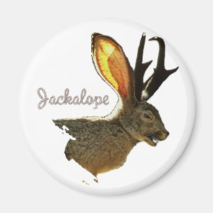Jackalope Magnet