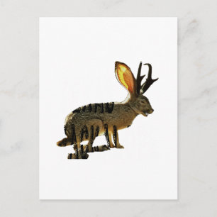 Jackalope Postcard