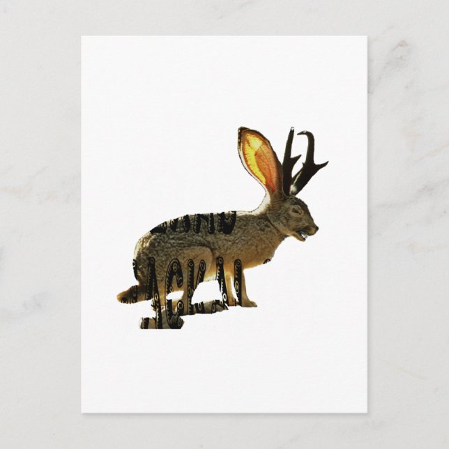 Jackalope Postcard (Front)