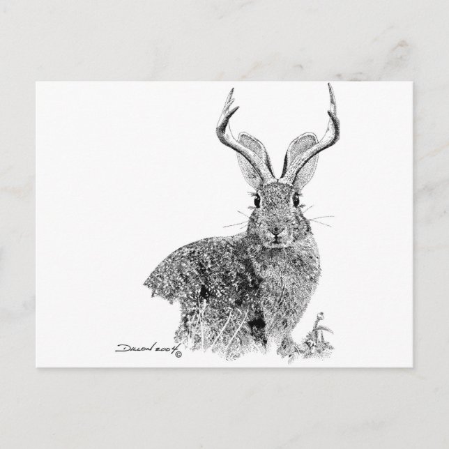 Jackalope Postcard (Front)