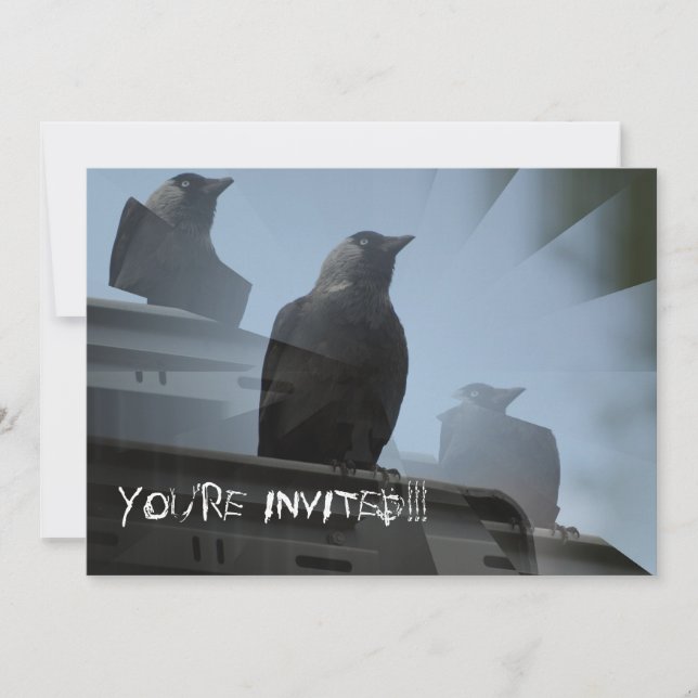Jackdaw Bird Invitation (Front)