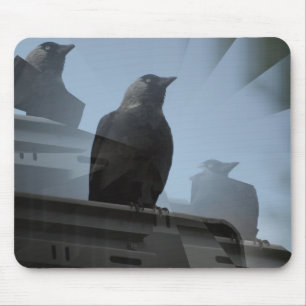 Jackdaw bird Mousepad