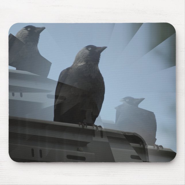 Jackdaw bird Mousepad (Front)