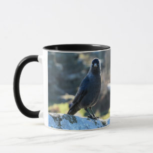 Jackdaw duo mug