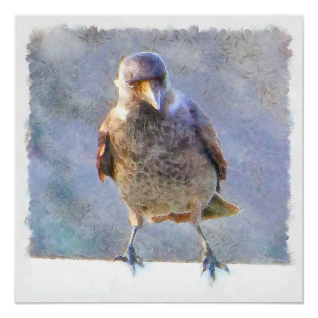 Jackdaw Watercolor Poster (Front)