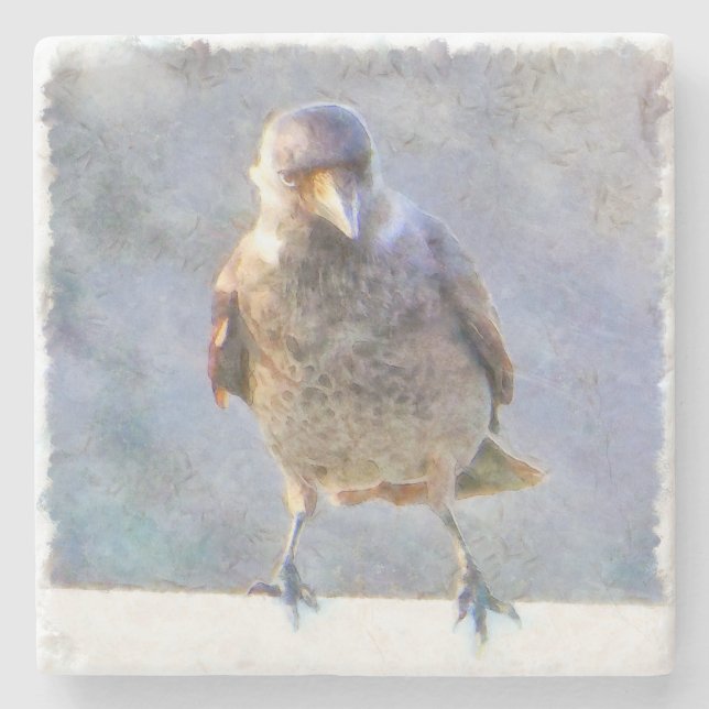 Jackdaw Watercolor Stone Coaster (Front)