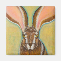 Jackrabbit desert