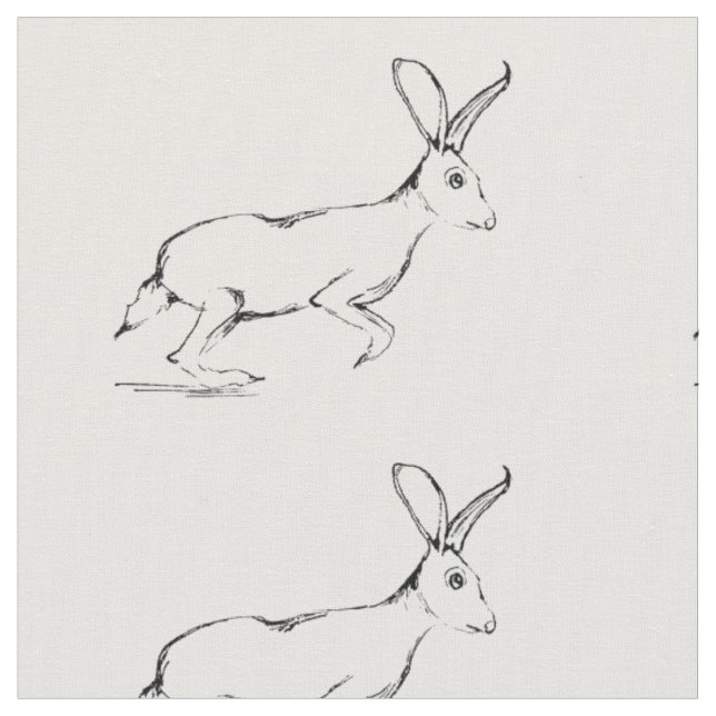 Jackrabbit Fabric (Close Up)