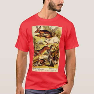 Jackrabbit - Hare - Wild Rabbit - Vintage Lithogra T-Shirt