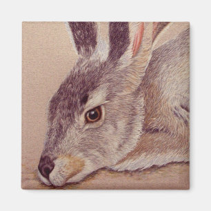 Jackrabbit Magnet