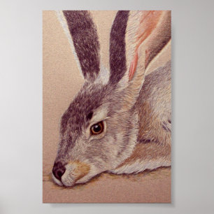 Jackrabbit Poster
