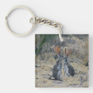 Jackrabbits Acrylic Keychain
