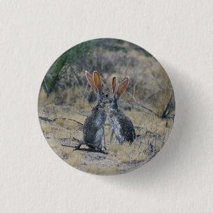 Jackrabbits Button