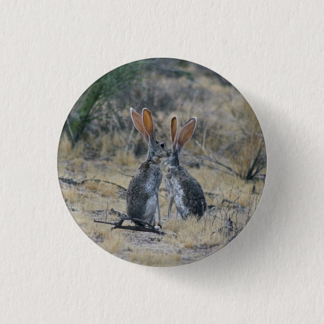 Jackrabbits Button (Front)