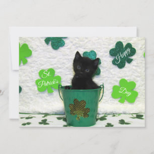 Jack's St. Patrick's Day Cat/ Kitten - Flat Card
