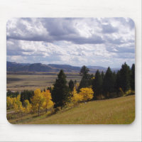 Jackson Hole Series
