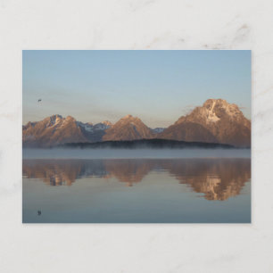 Jackson Lake Dam Reflection in Grand Teton Park Postcard