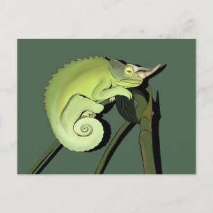 Jackson’s Chameleon Postcard