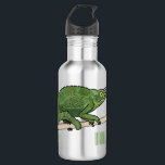 Jackson's chameleon cartoon illustration 532 ml water bottle<br><div class="desc">Jackson's chameleon cartoon illustration</div>