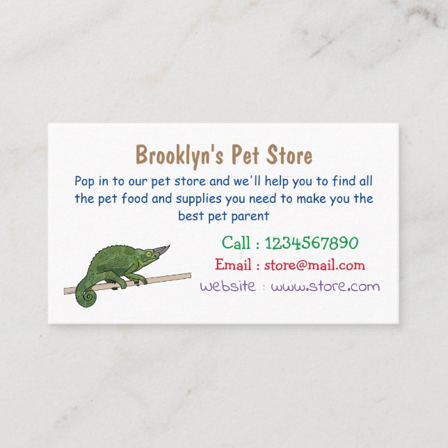 Jackson's chameleon cartoon illustration business card (Front)