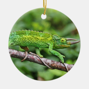 Jacksons Chameleon Ceramic Tree Decoration